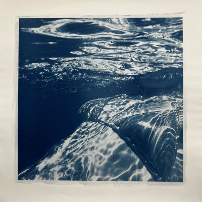 Fluid Self 2