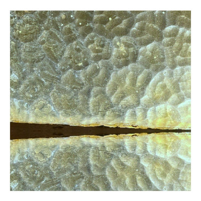 Mirrorscape I