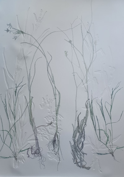 All flesh is grass #2