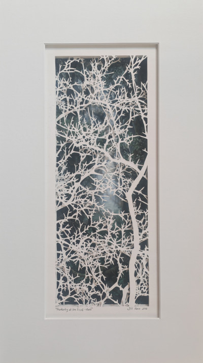 Awakening of the Forest-Wood