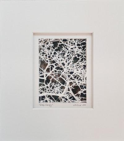 Glimpses V: Deep Canopy