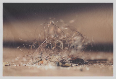 Surfer Dust