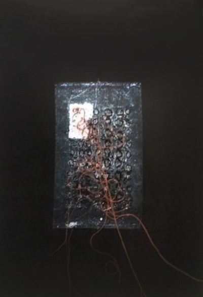 Transhuman Ambitions