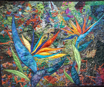 Bird Of Paradise