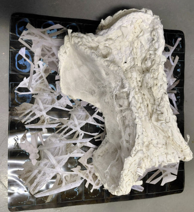 Fragile Anatomy