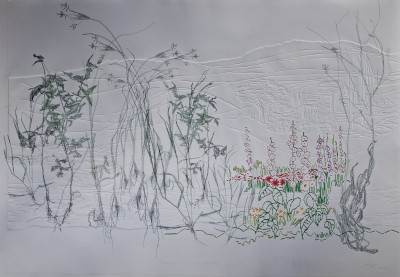 How does your garden grow?