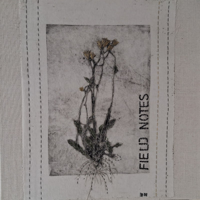 Field Notes I