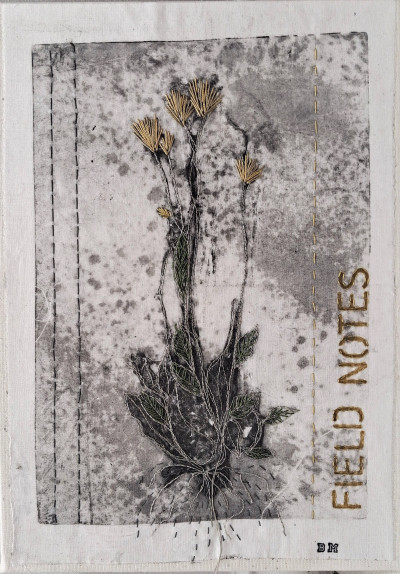 Field Notes II