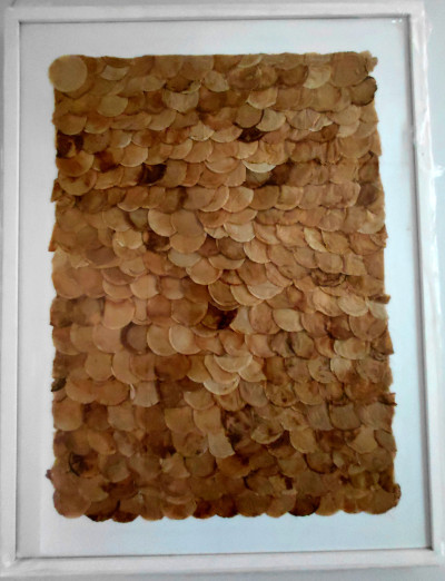 Teabags 1
