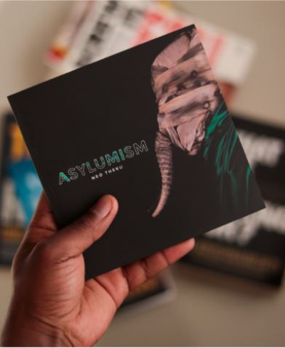 Asylumism Book