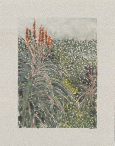 African Bloom