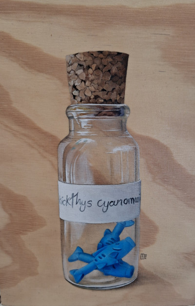 Brickichthys Cyanomarinus