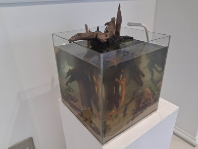 Aquascape: Root-bound Sanctuary