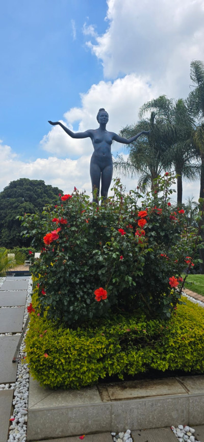 IN MOMENT SERIES – II