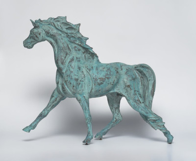 Mustang Horse
