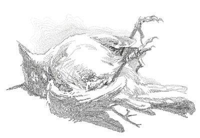 Robin - Pretoria Job 14 -26