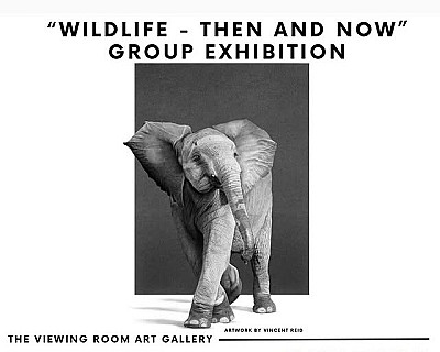 Wildlife - Then And Now