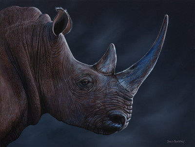 Still Facing Extinction