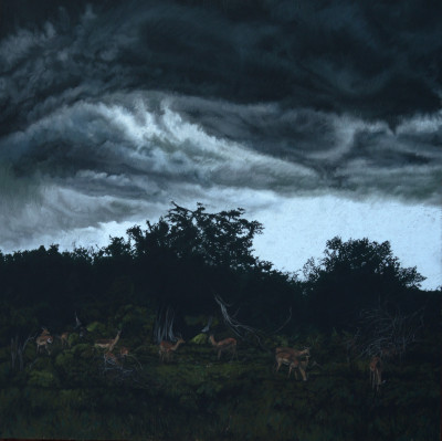 The Day Before The Storm