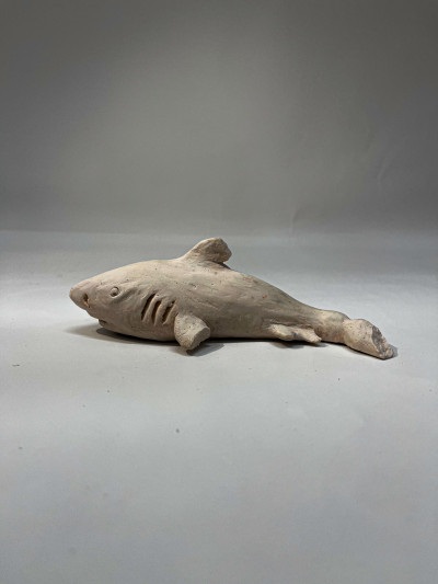 Shark 1