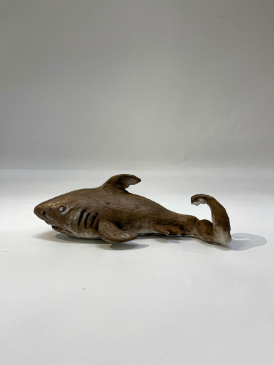 Shark 3