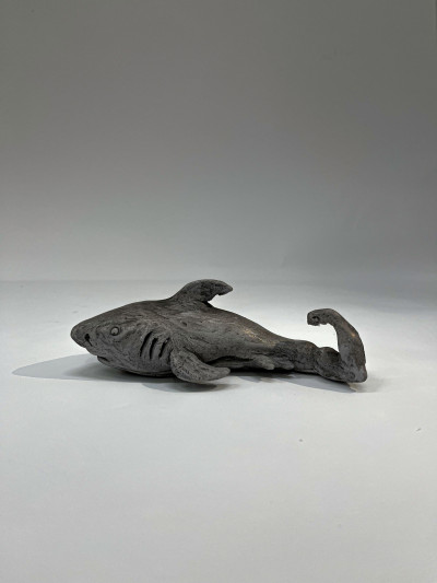 Shark 5