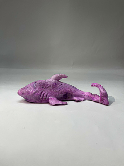 Shark 6
