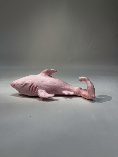 Shark 7