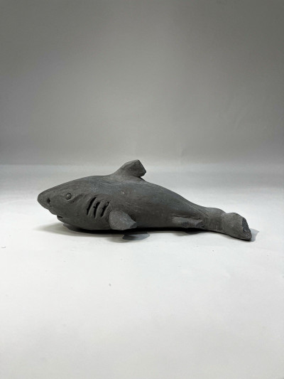 Shark 8