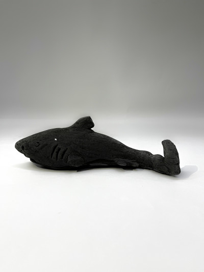 Shark 9