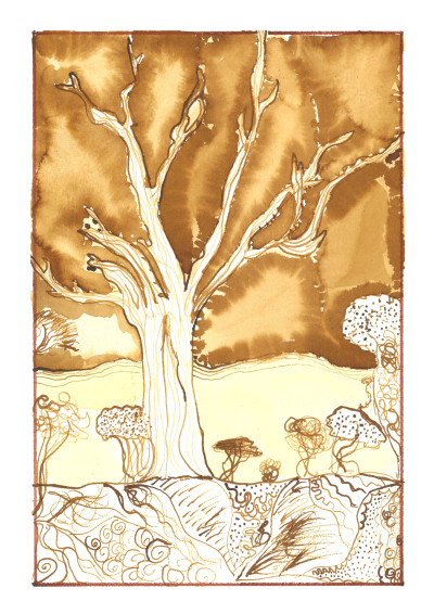 Bushveld Tree