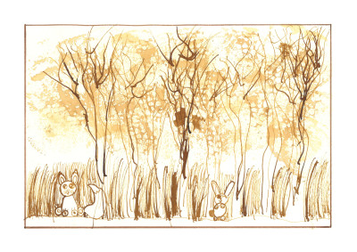 Bushveld Tree