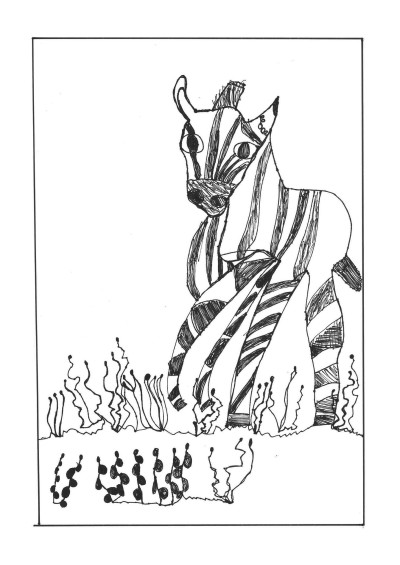 Zebra