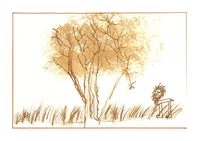 Bushveld Tree