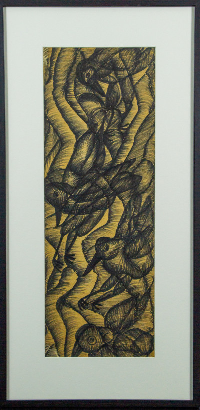 Bird Study