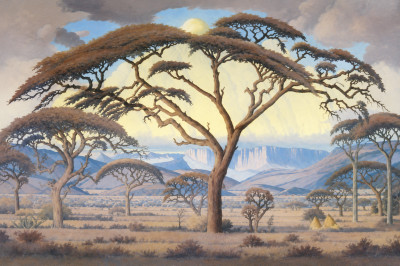 Bushveld near Thabazimbi