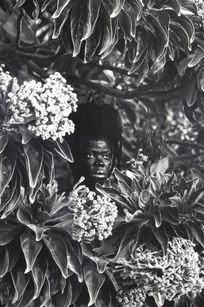 Qhamukile Maritius