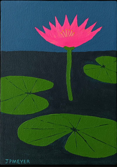 Water Lilly