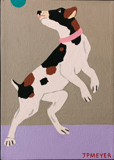 Fox Terrier