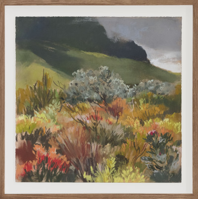 Fynbos 1