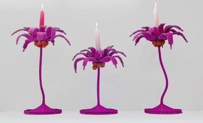 King Palms 3 x small 2 x medium