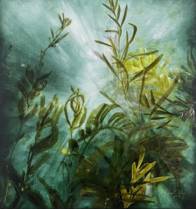 Where light meets depth I