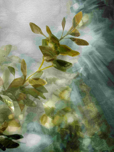 Where light escapes I