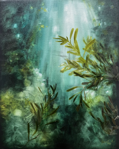 The color of water II