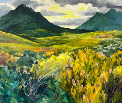 Cloudy Morning, Kogelberg