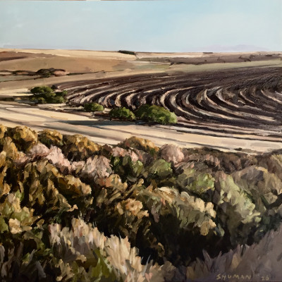 Knolfontein, Early Morning - Riebeek - Wes