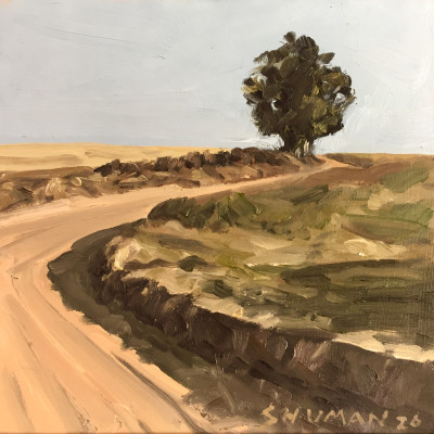 Road and Copse I -Malansdam