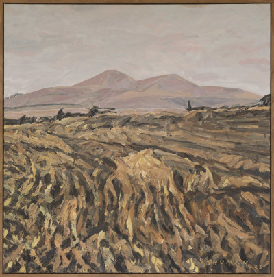 Two Hills, Dusk  Near Darling