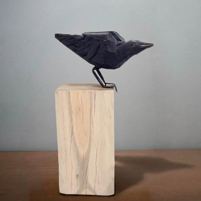 Raven on a Block