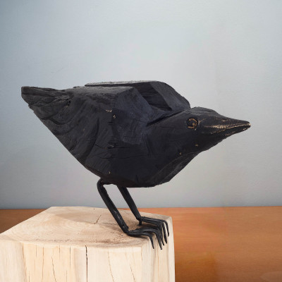 Raven on a Block